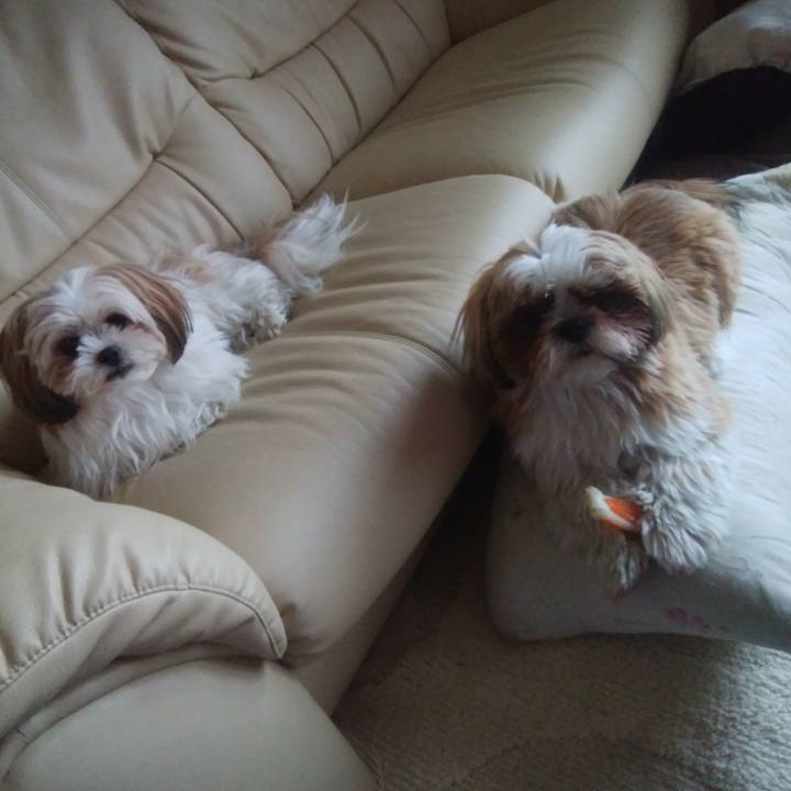 312ab0cd beba 4067 a045 5c3a04e37c05 1550617054010