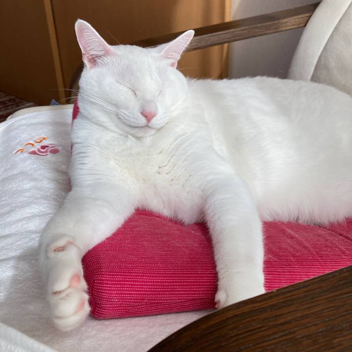 312ab270 36d2 43d2 9ee2 8ecaf3360c89 1667103549412