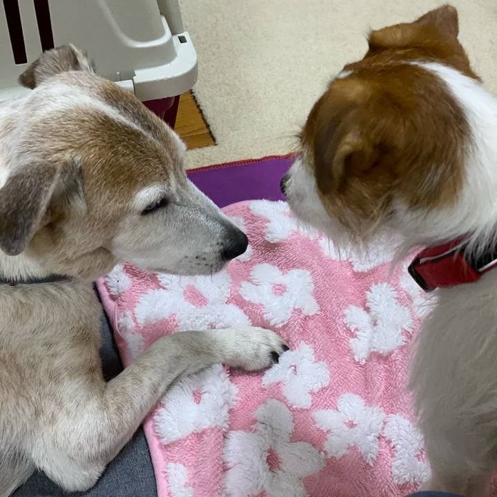 312ab74a 03cd 4c4c 8137 e3ef19157e4b 1644237490527