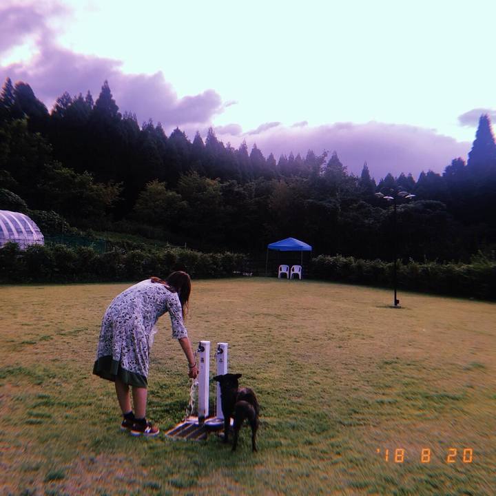 312abda9 3ef4 4d42 ac73 14a93ac7cea1 1535468845139