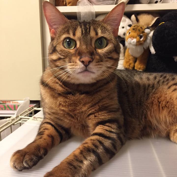 312afe3b bdab 4ff1 ab66 f59c3bb9f286 1532905931070