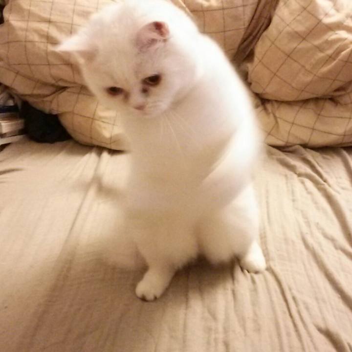 312b056e 815c 4279 8118 b29f79c6d4d6 1508799443086