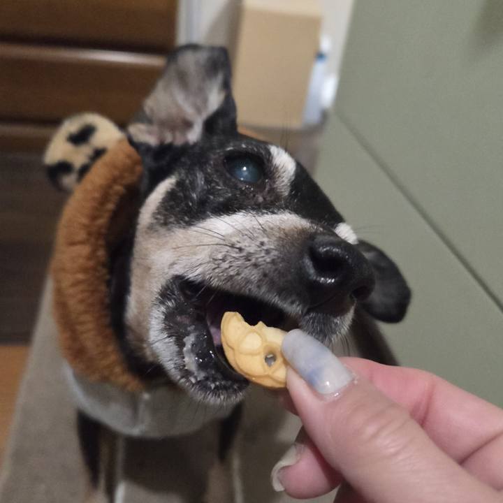 312b0685 7c8d 4529 865b 017eabaa7fdb 1772481639835