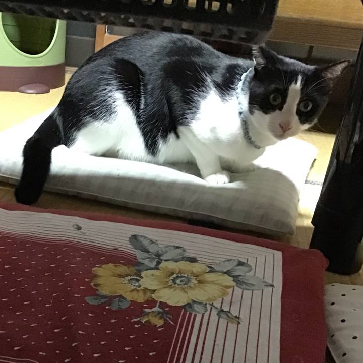 312b1394 121f 4826 90a2 db169bed86b5 1663762347923