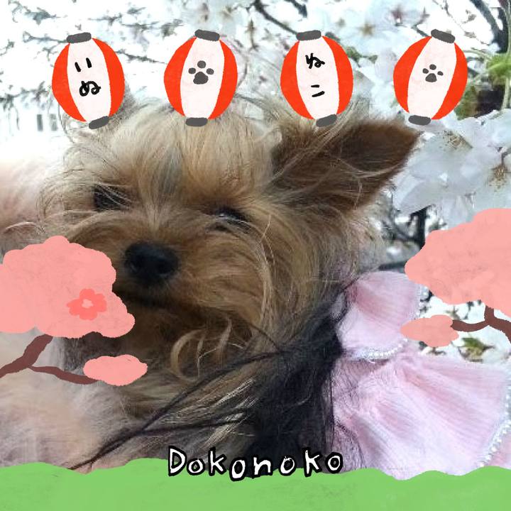 312b592c ca11 48b0 a005 c91fe68d27b9 1712394833449