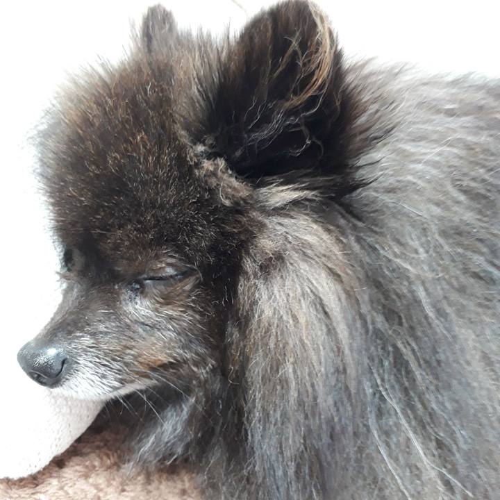 312b599c 5b6a 4581 b406 22bcbfe44924 1519176681156