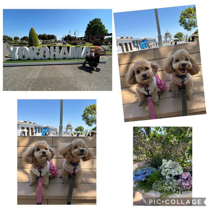 312bd3be b2cf 46a9 81ef 55b81320a5fe 1714894272924