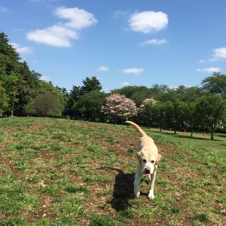 312c082e a2e0 4fd1 80fd 79659b5763e8 1524119410502