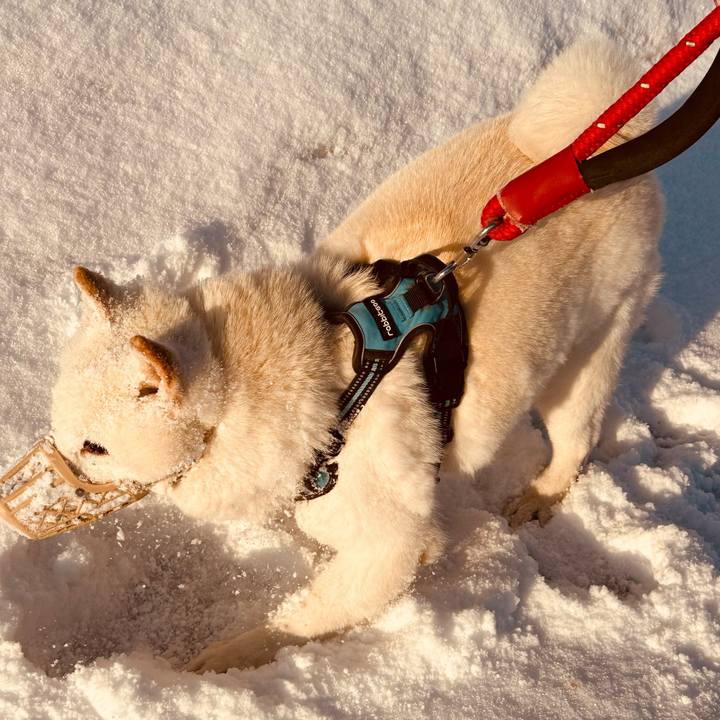 312c23f5 2fbc 448d 9f89 676b25cdbaf9 1773009483650