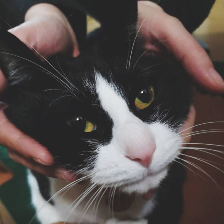 312c3814 9168 41b4 b8f3 0d4cb88e885d 1579441621230