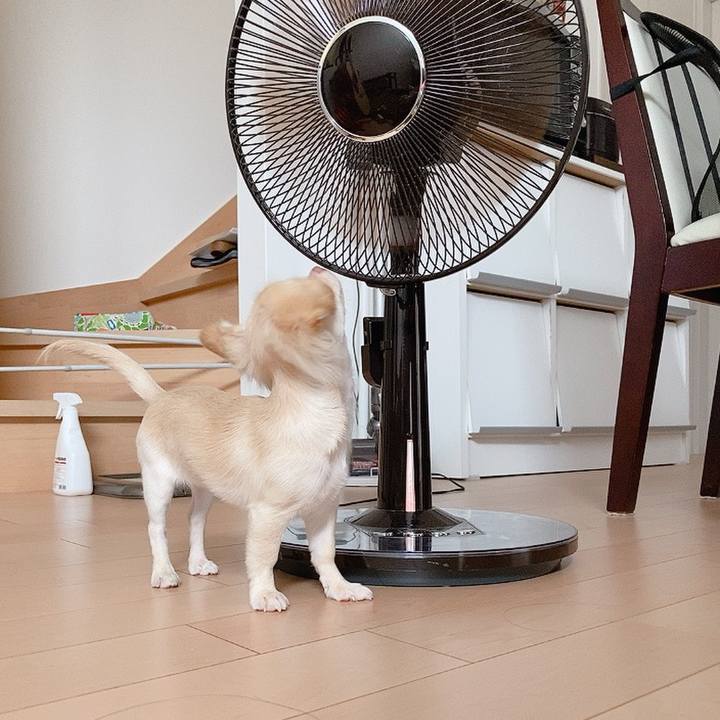 312c3915 df27 4cbf bfdd 48ad06a4ca5c 1594029484578