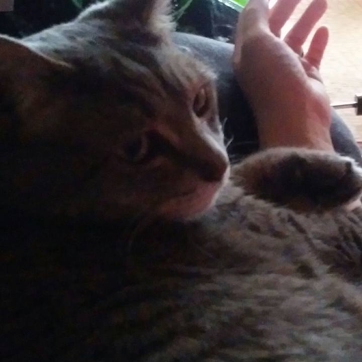 312c5079 4d33 4241 8e51 f6b1e9cbd16a 1529901000158