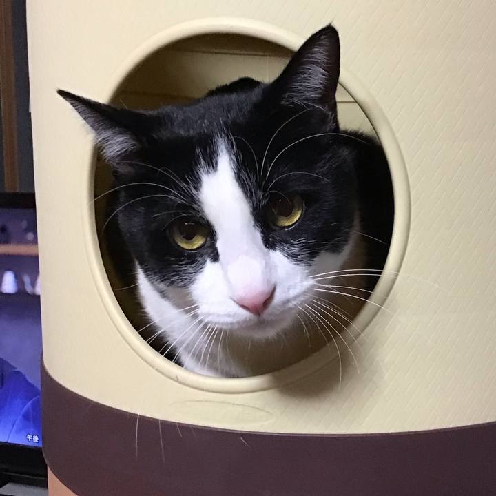 312c5654 f3ff 45d1 9a40 568b5dfaf429 1672924843266