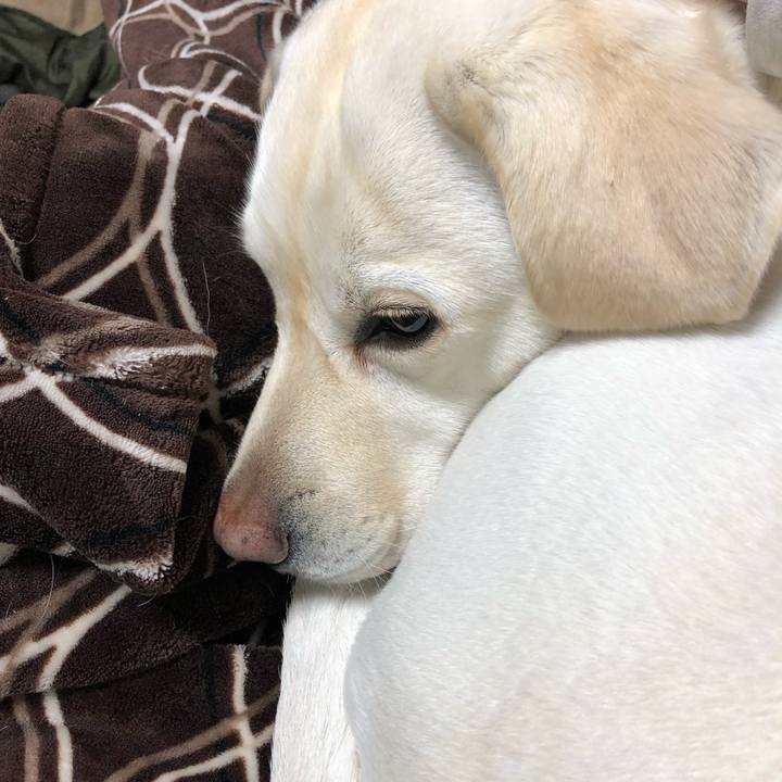 312c5e1d 33b5 4690 8550 3ed4c946cc9e 1585921285374