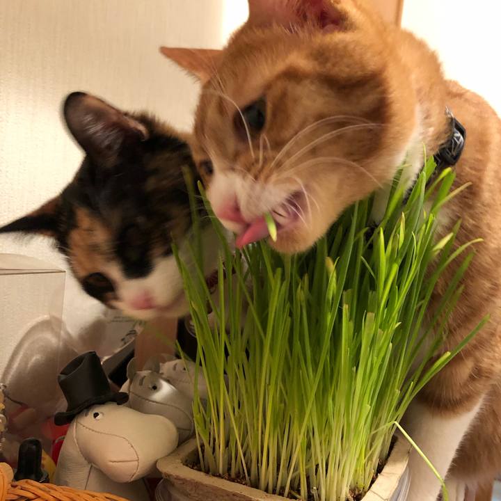 312c6e10 0560 44b0 985a fc86c467d5a6 1557397346012