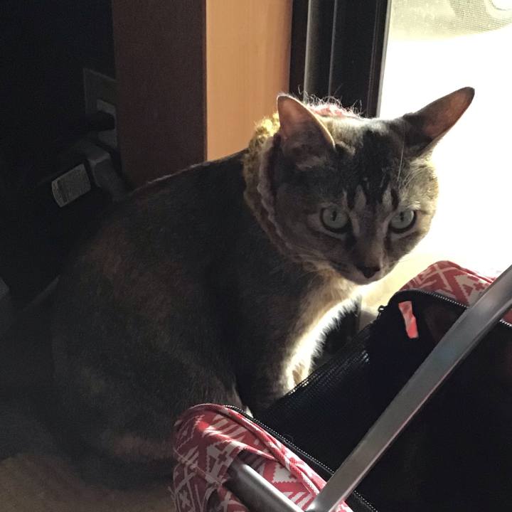 312d4595 b22b 4f4c 9889 a2130ba7a743 1623479864232