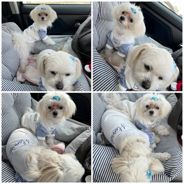 312d5833 ba1e 4793 ad66 cda3a4e473b0 1710665979750