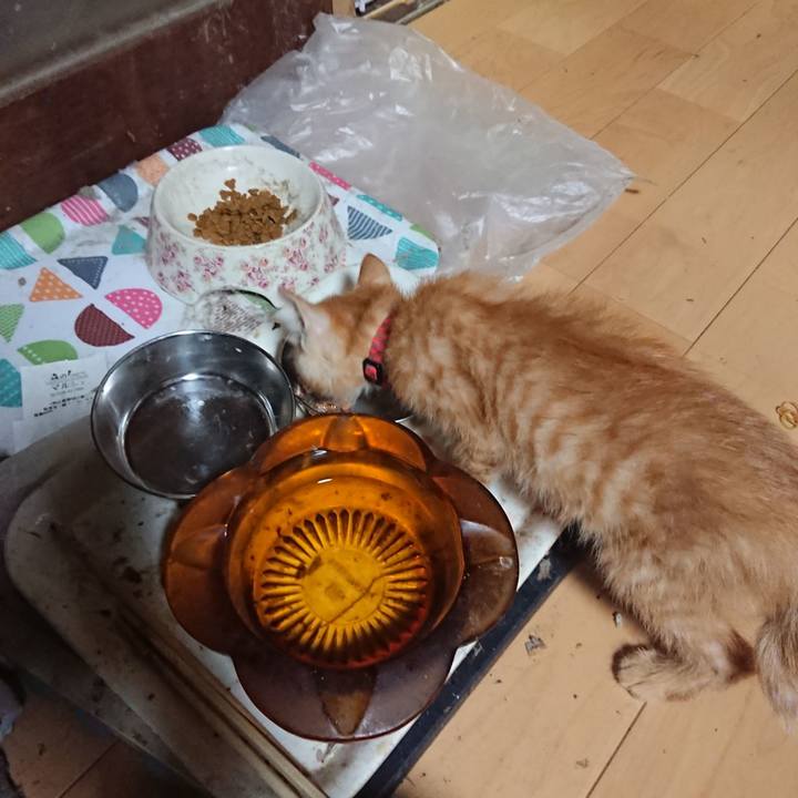 312d58b0 c42f 4f08 9b53 652b9bfee12b 1628595768689