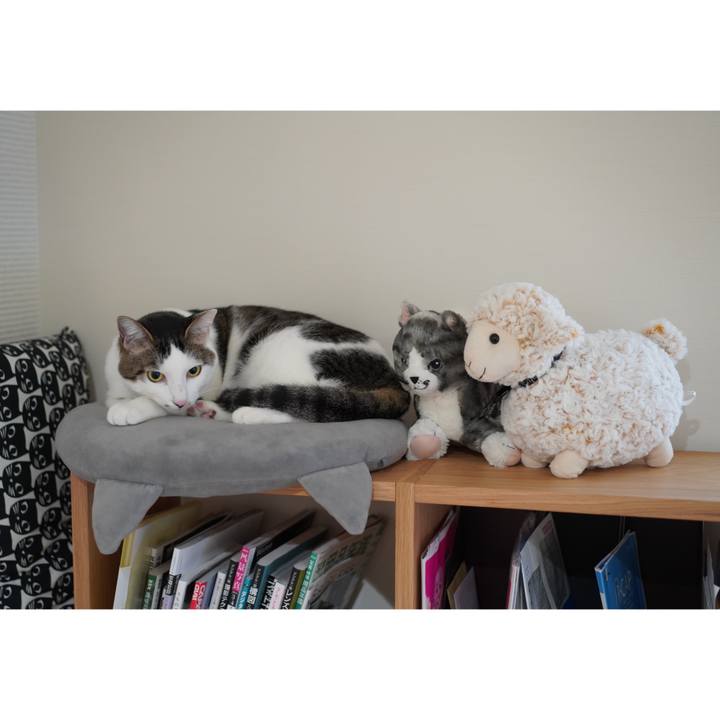 312d5e23 07b4 41e0 b5a4 0f949f6baf87 1576194437047