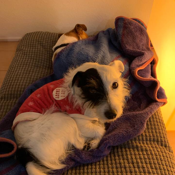 312d661d 8577 489f ad56 3e56e743a88c 1549111979076