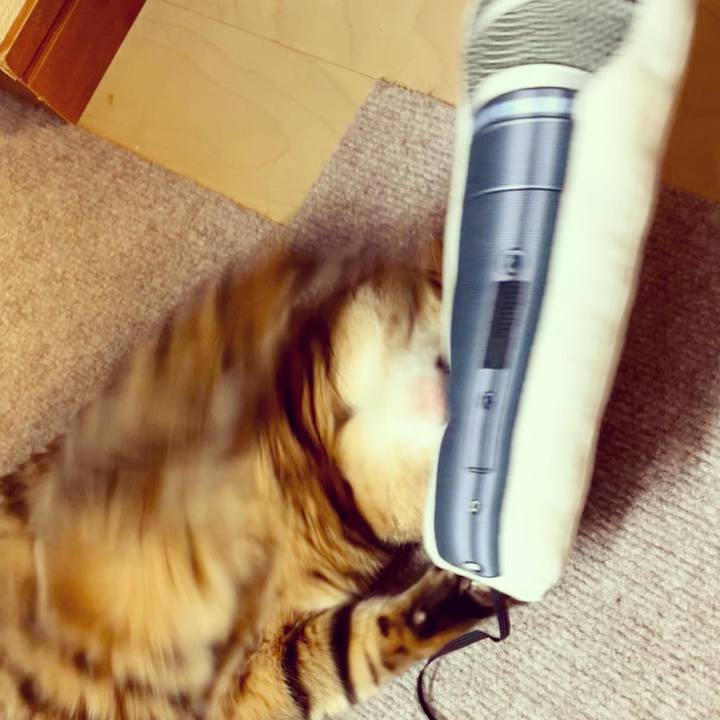 312d72e8 c299 41f7 9c08 59218c81dfb5 1659616806020