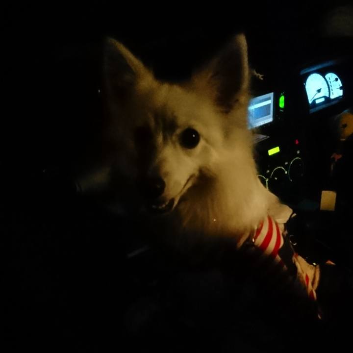 312d9438 c0a2 454a 8b46 625b126ac771 1525173012956