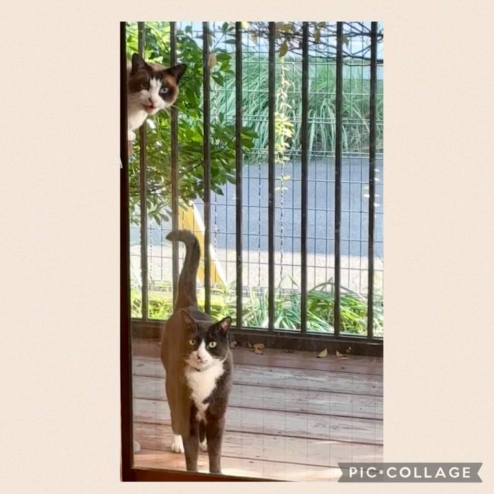 312dc3f4 0b0b 4dac 8746 c2d26acf3b73 1748944388789