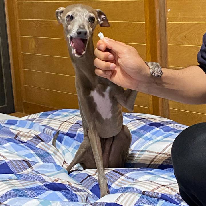 312dd1e1 6e74 43b0 af6b 6c0df767e831 1771940516048