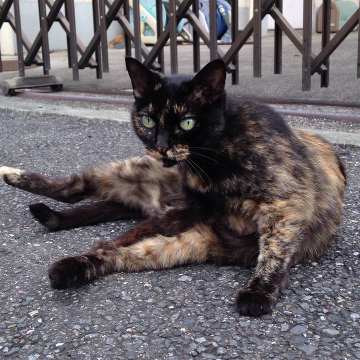 312e0101 f820 4020 b39c 25872057ab93 1510574506147