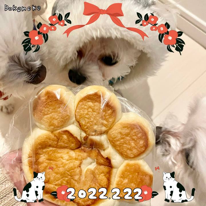 312e185e f3ba 413c a4ba 9bfd1a174cf6 1645493361357