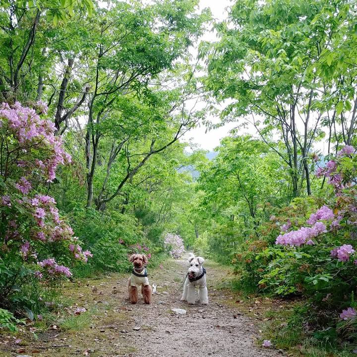 312e2457 f632 4f38 bf47 b41b6917a596 1589116616565