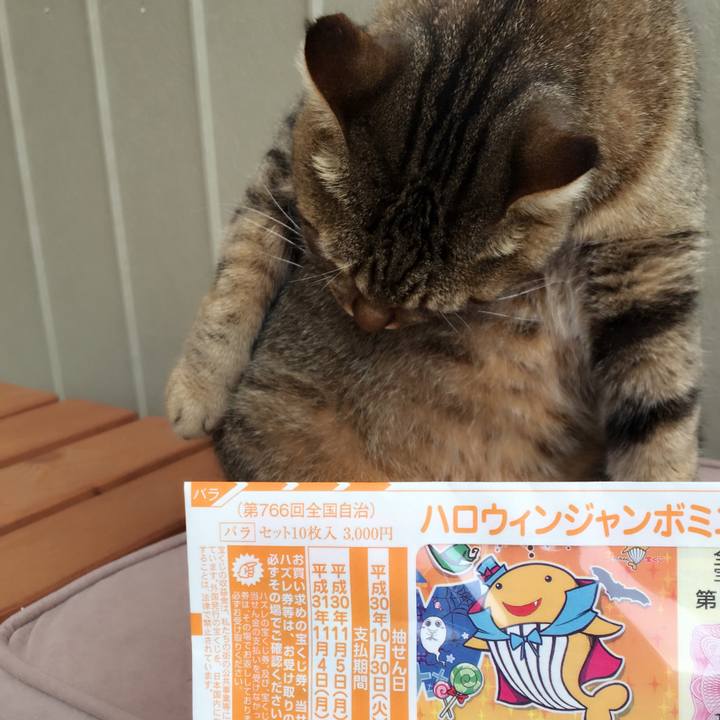 312e6236 efe6 4ca7 bc4f 43bca666cffe 1539600882854