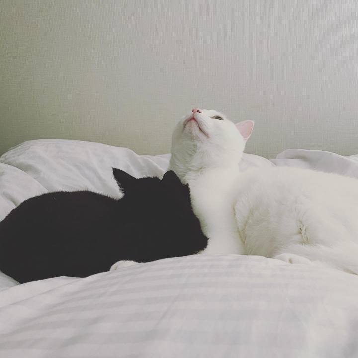 312e7ef6 85c5 463d 977f 6500fd6d57a9 1586929516352