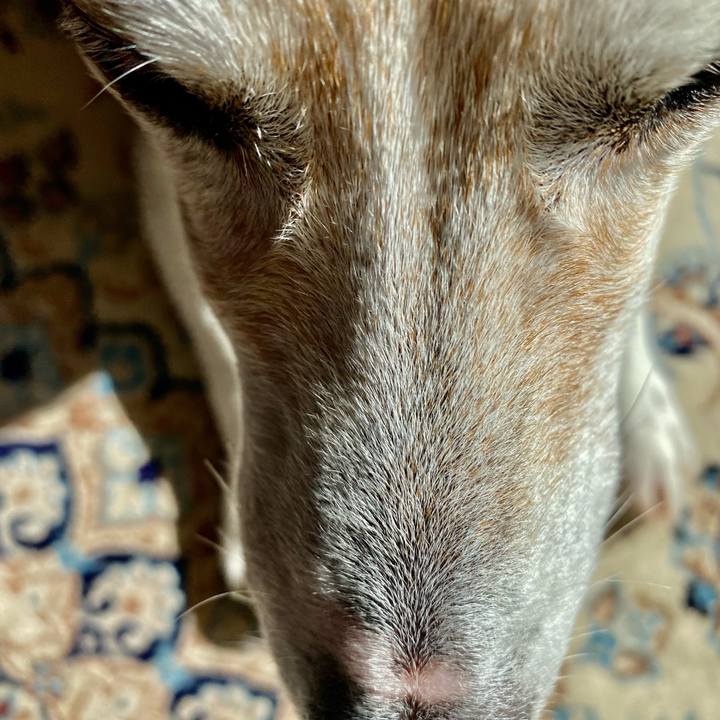 312e8c7a 9fce 43fa a286 24e6ce937749 1641634577679