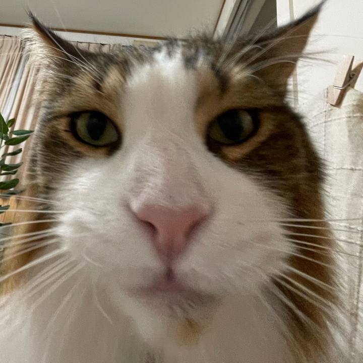 312eb366 6a21 4ad8 9a3c ad673e0f7ae6 1729893256160