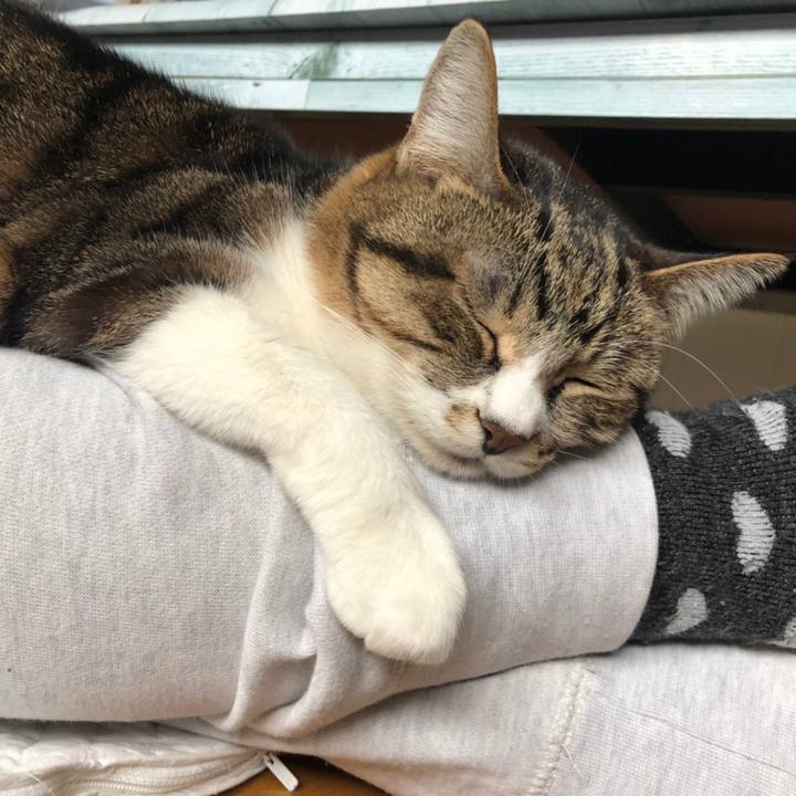 312eba0b 0ea6 4c6f 9bf4 8372c6de61bf 1548508974515