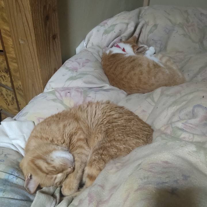 312eeca5 c31a 4789 aa2d d280c35d48a5 1763982464978