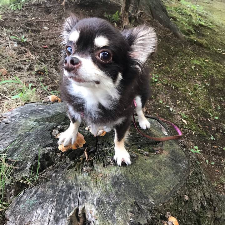 312eedce c087 4b92 9108 8460934fd7f5 1566733205370