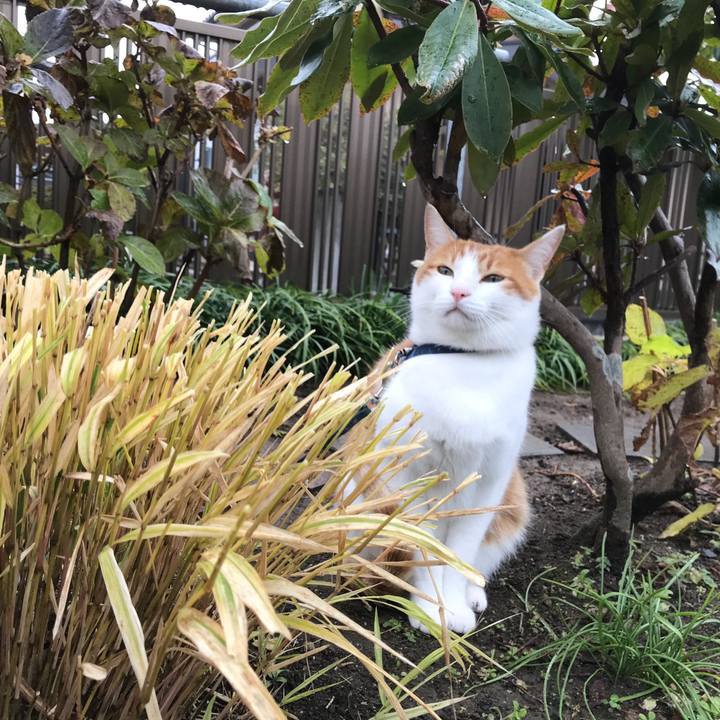 312f131b 3a5c 4b8a 9ef0 41cf64432df3 1511484322660