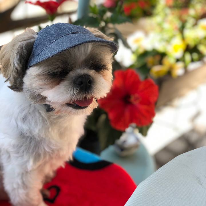 312f984b 217e 4d0a 85f0 0f80fcee62f6 1561280730636