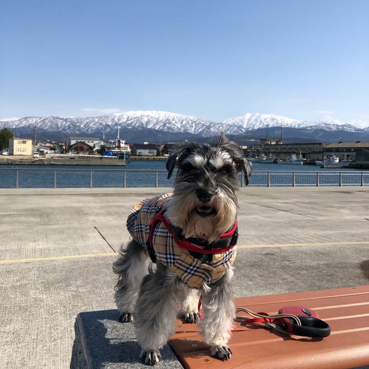 312fcd00 8cb8 4d28 857c ce9eadb9b2a3 1582547206866