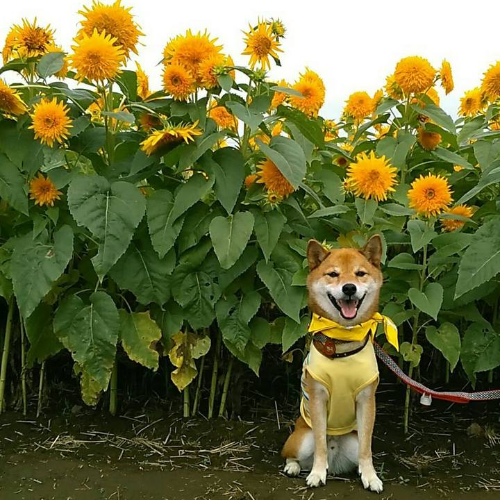 312ff824 bd3a 4b4d b8cf d17a78d919e6 1567242501928