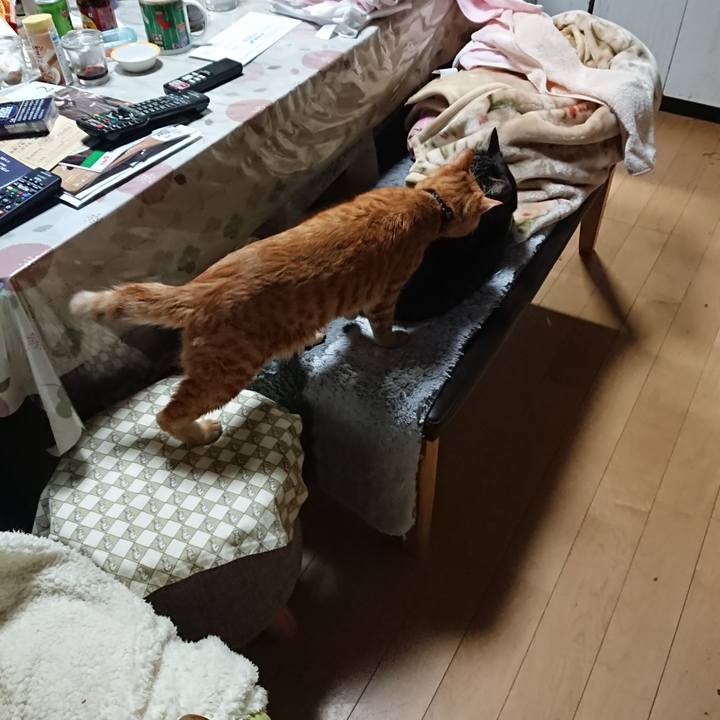 313012e5 01ba 438b 9156 e855d123aa00 1642759637152