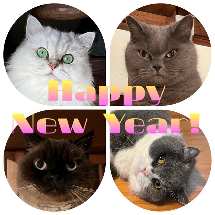 313038b3 9ba7 49b7 aadf 76cccf33add8 1735657203334