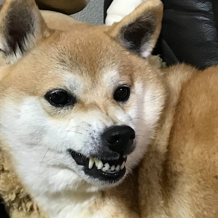 31303ce9 a57f 46ad 95ef 9fca9b1b5070 1513424871126