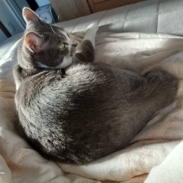 3130449a d320 4d44 97fe 81498620d67c 1632869889363