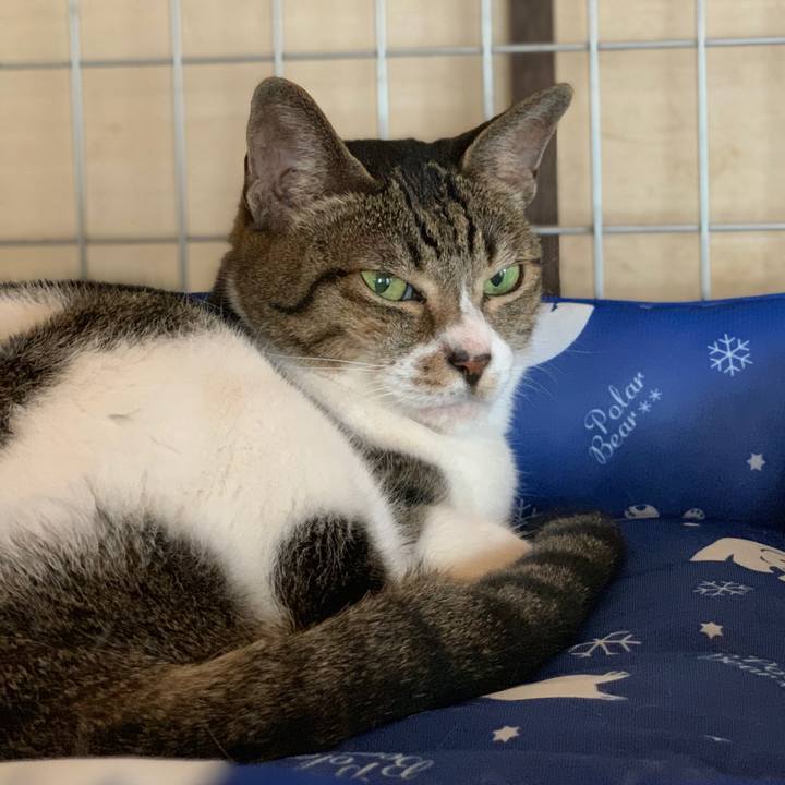 3130bdbc 6165 4e2c bff0 0a778ef99b04 1568163789405