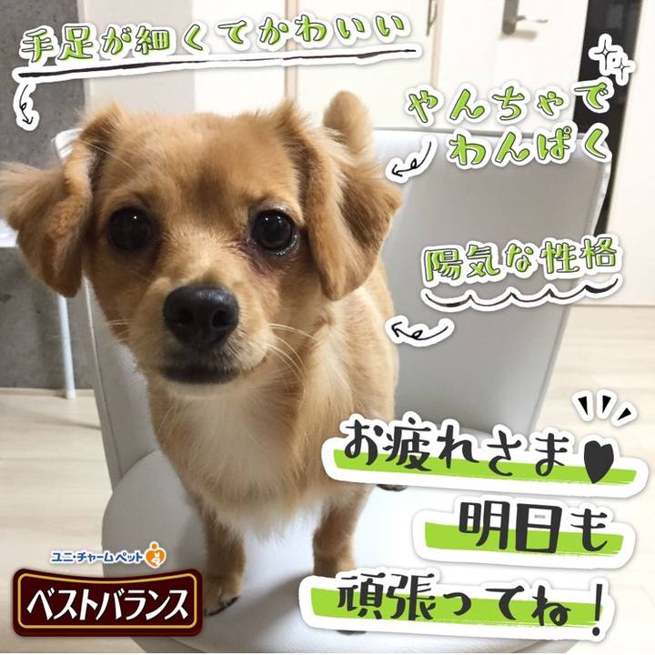 3130c5ed 6f40 4f66 885f 426aa962947f 1541809890086