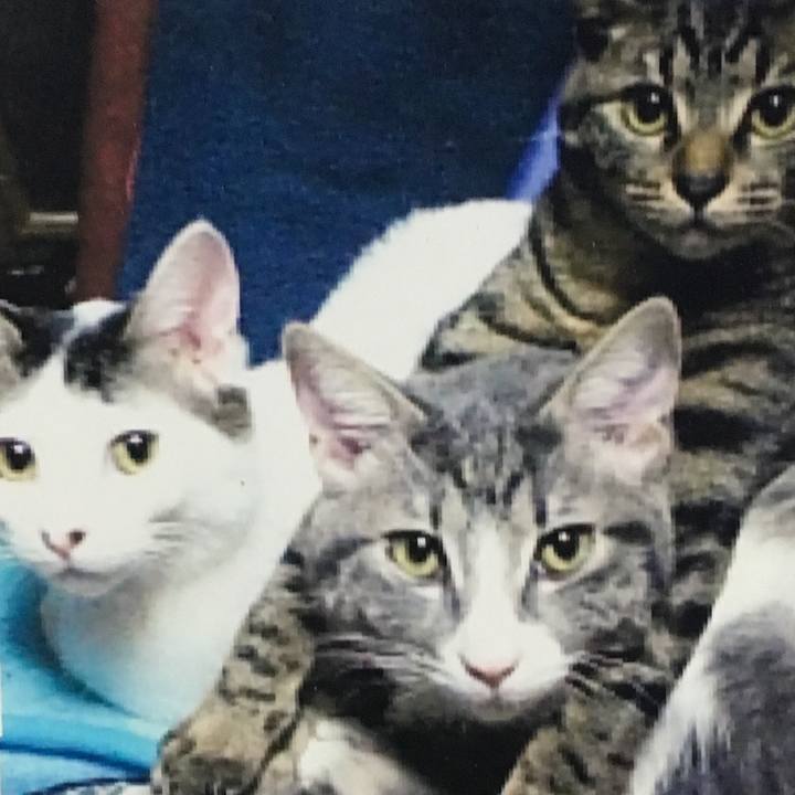 3130c95b ff18 4af7 9b88 7f5172d4378e 1563547029139