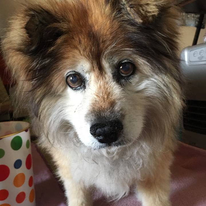 3130cfa0 7304 417d a7f9 2ce9b564ad93 1557961444693